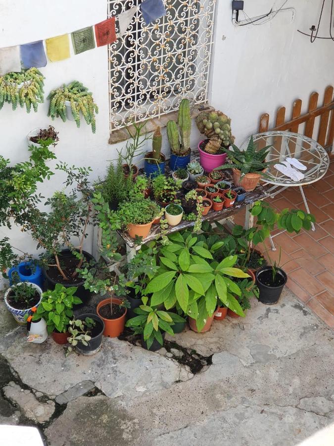 Casa Vera Vejer de la Frontera Bagian luar foto